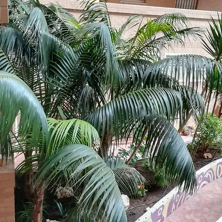 Costa Caribe Iii Residencial * El Borseral